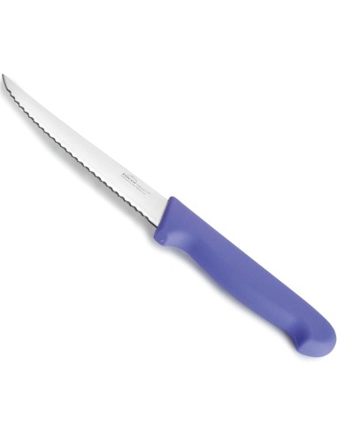 Cuchillo multiusos morado de Lacor