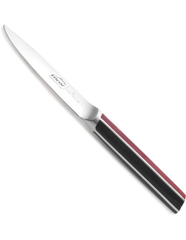 Cuchillo cocina elite de Lacor