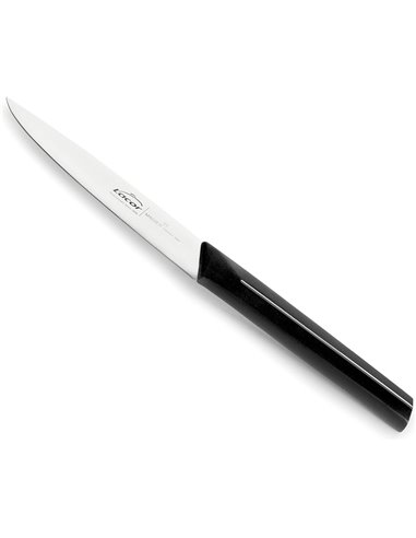 Cuchillo cocina master de Lacor